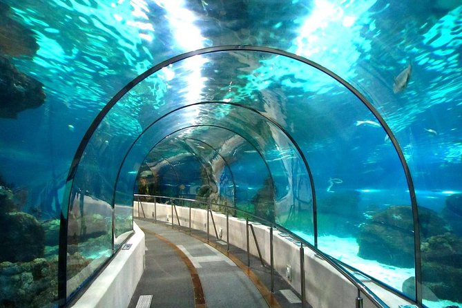 Grand_Aquarium