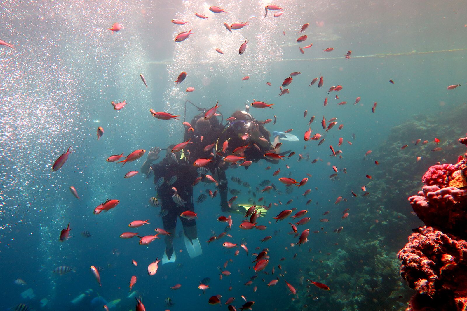 Red-sea-Diving