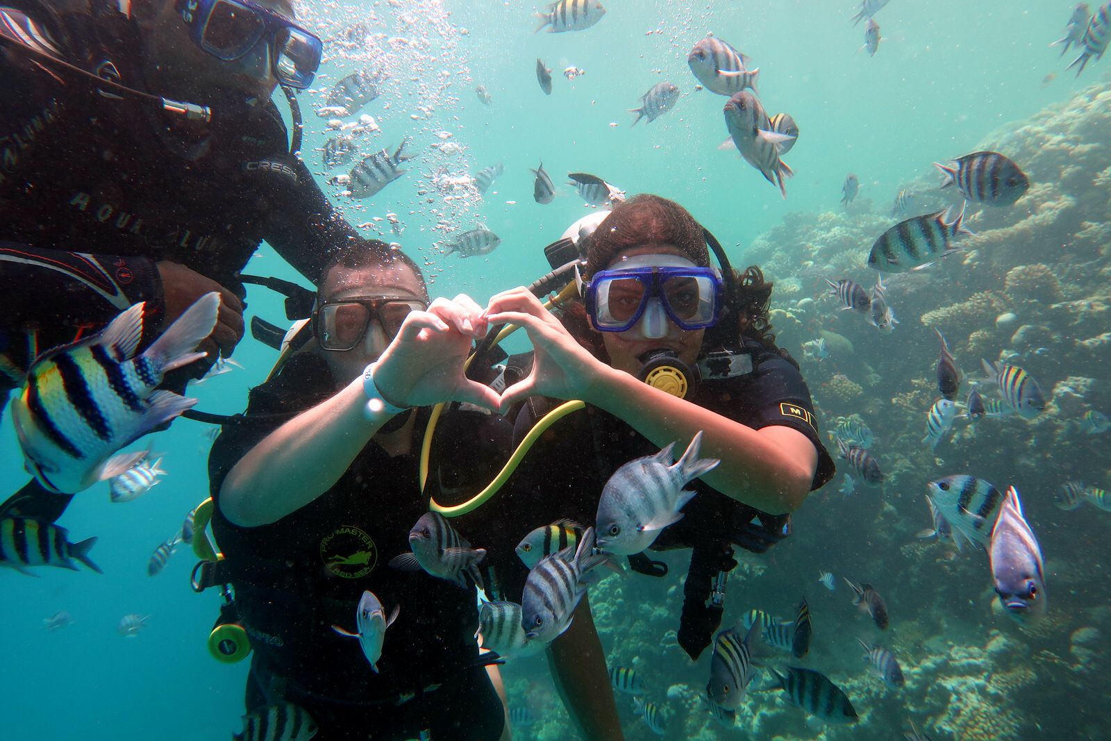 Red-sea-Diving