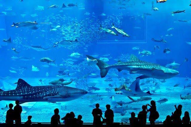 Grand_Aquarium